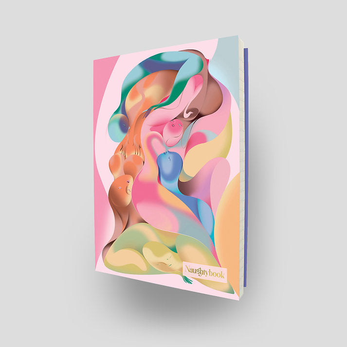 Fall Into Heaven notebook