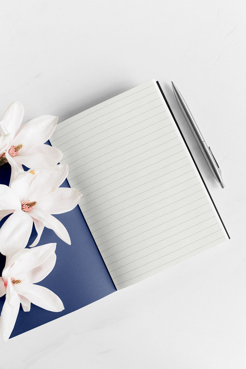 Physical Dreams notebook