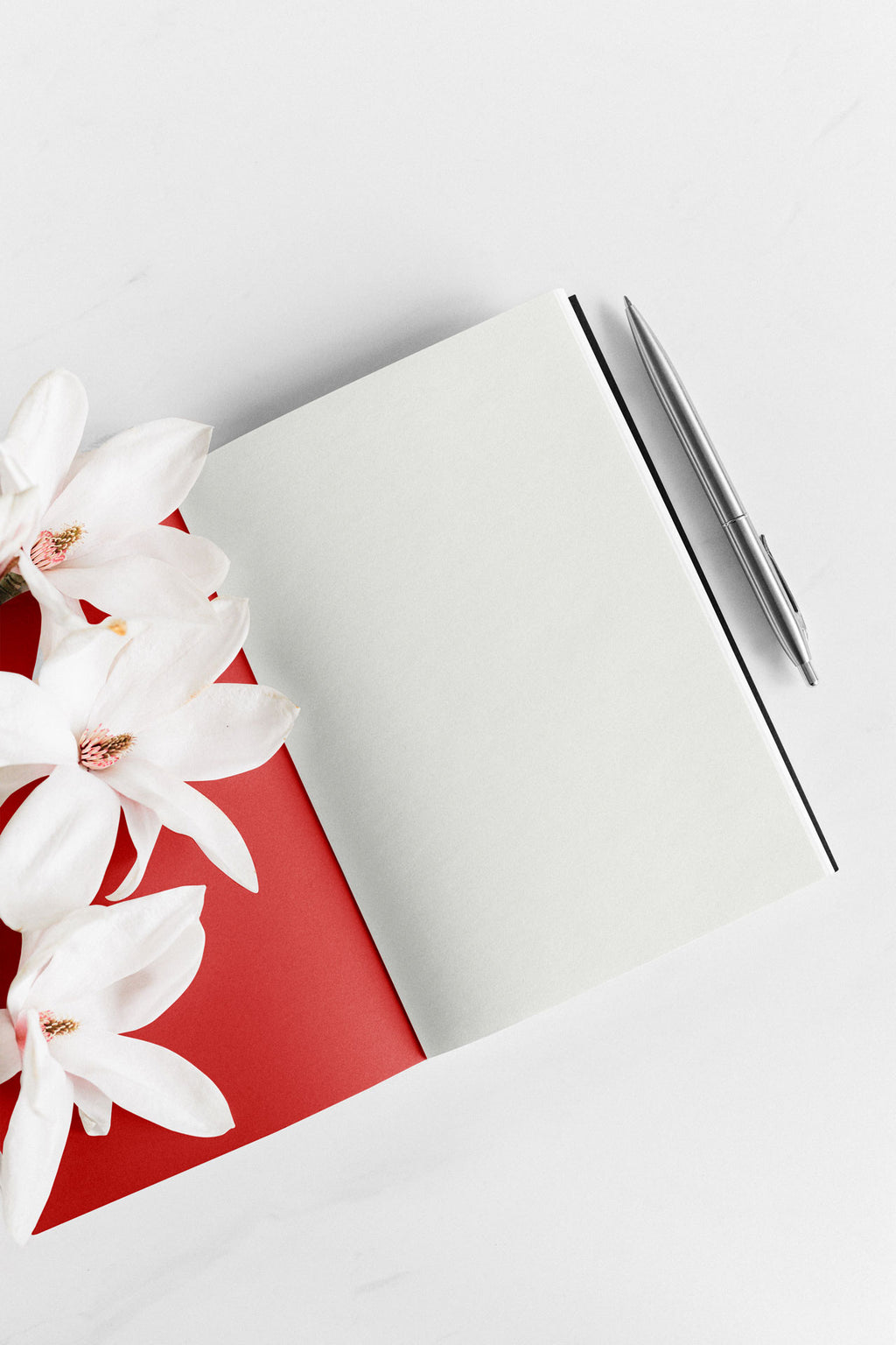 Shmucktopia notebook