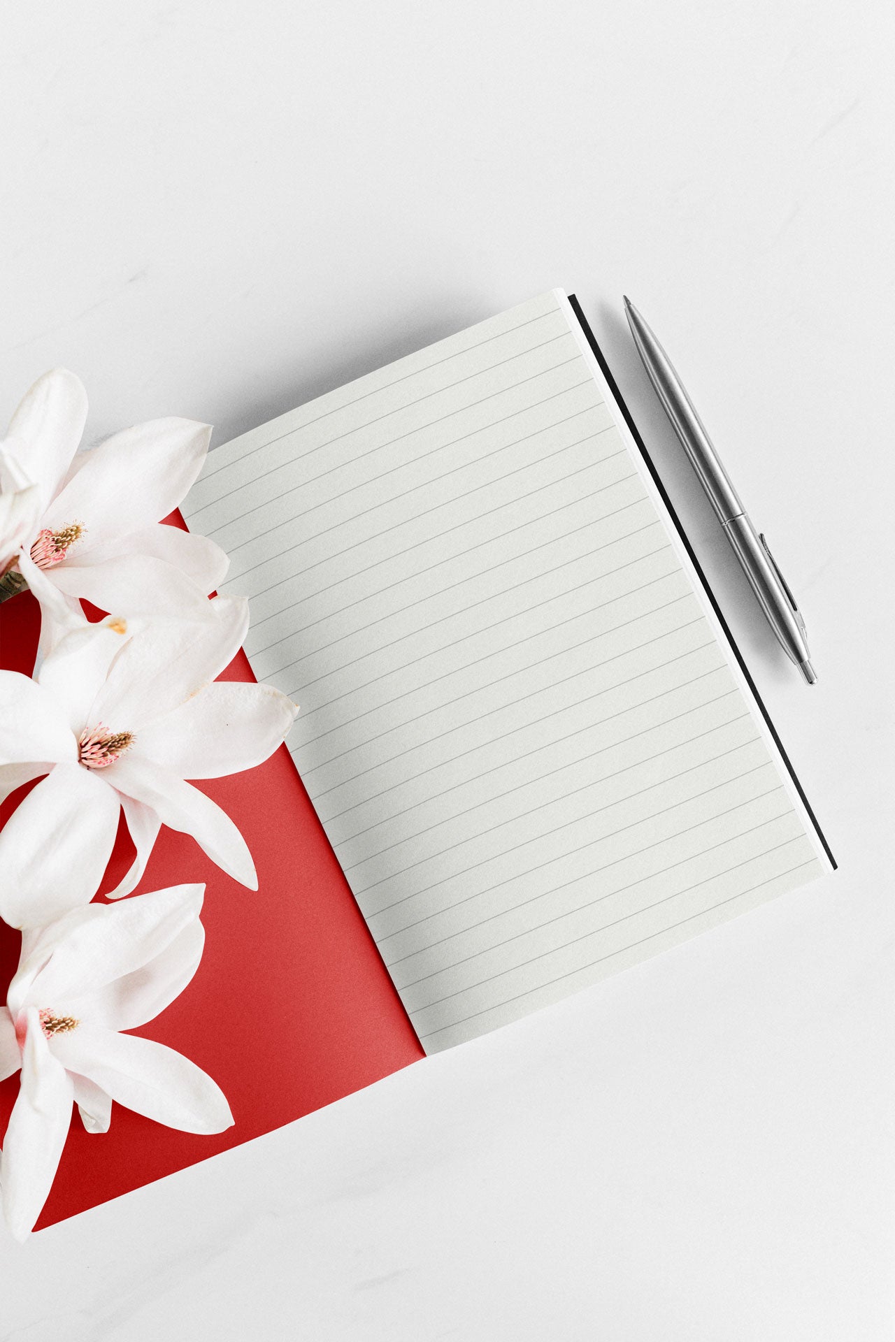 Shmucktopia notebook