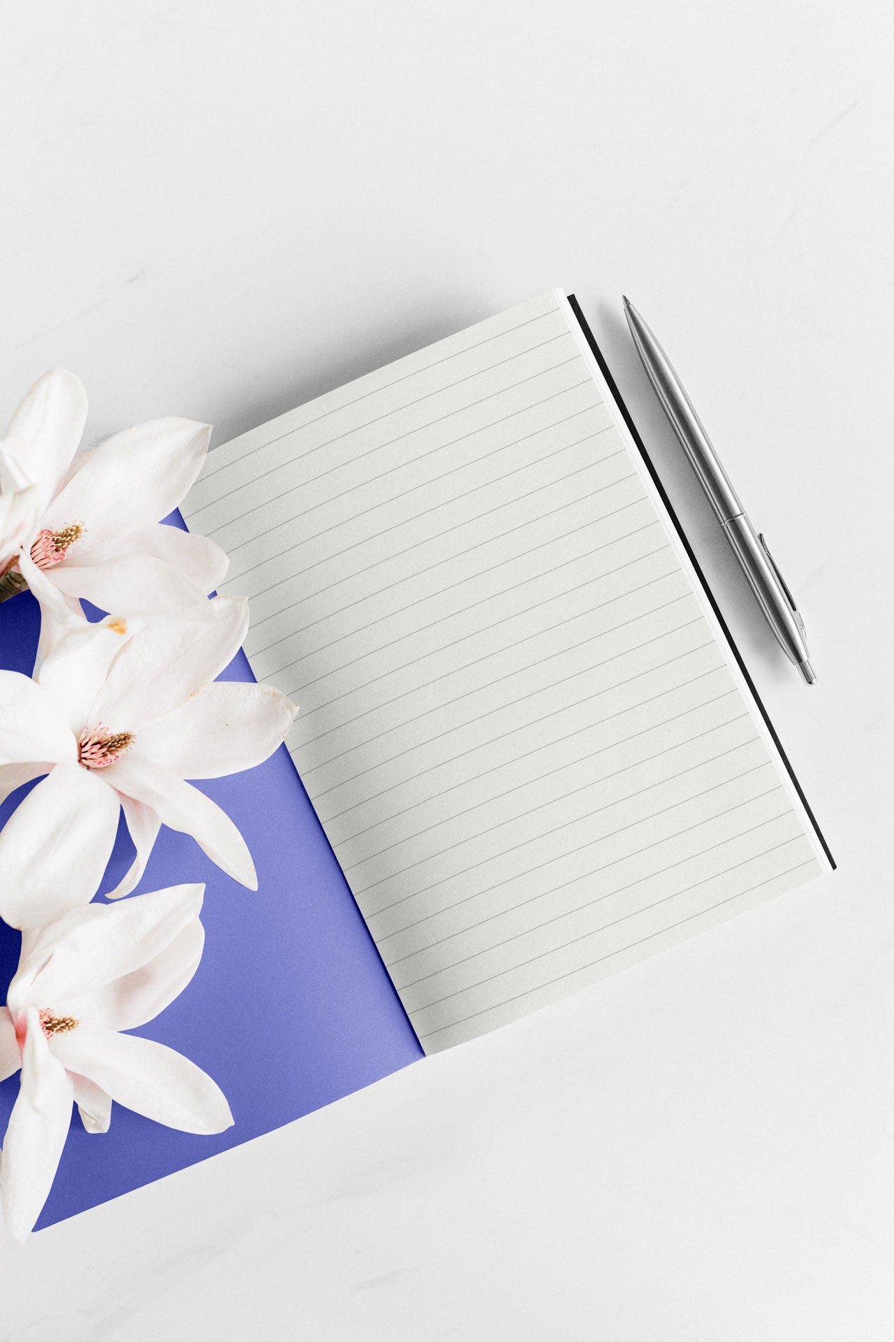 Fall Into Heaven notebook